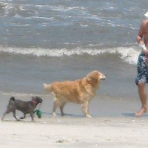 Meet your Posher, Corey